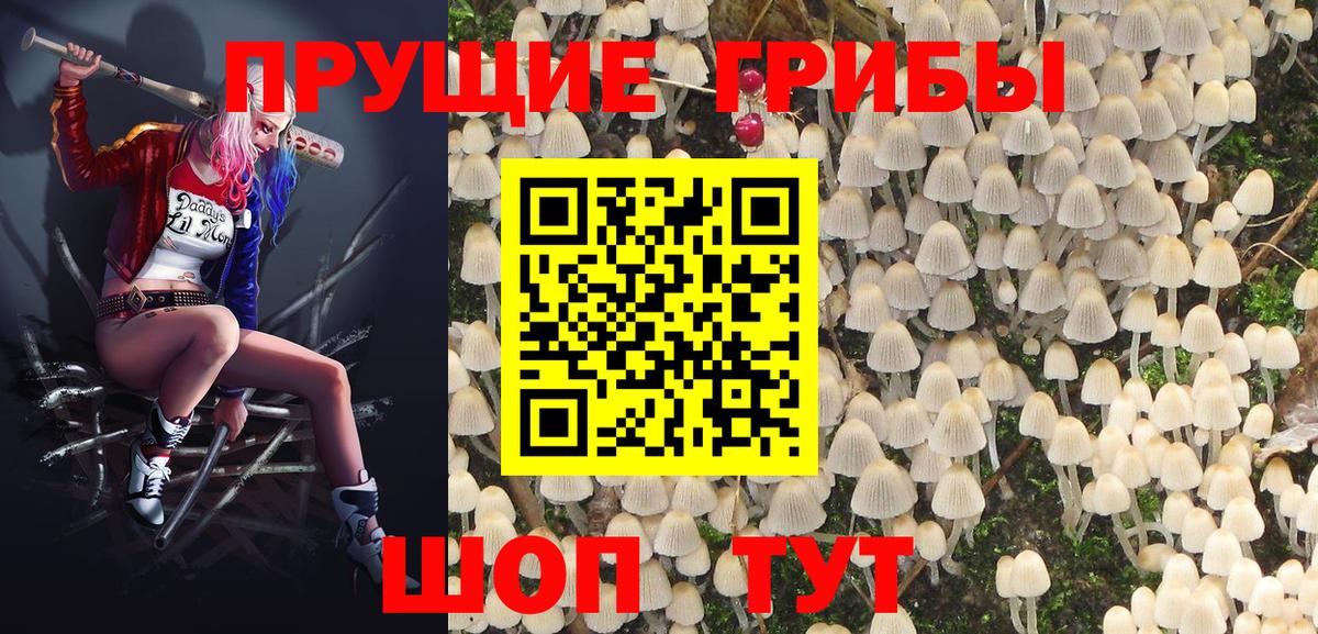 Псилоцибиновые грибы GOLDEN TEACHER Реутов